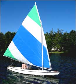 ocean sunfish sails photo
