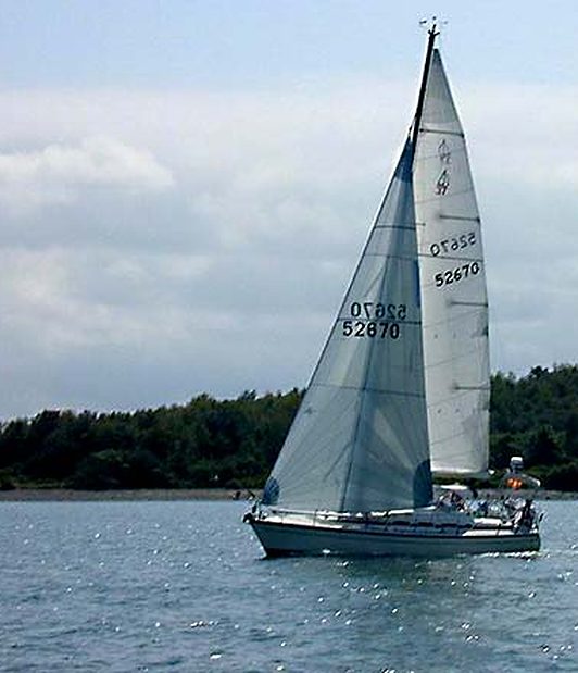 Sloop sailing past the shore